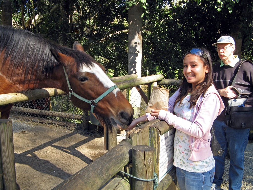 Connie and Bob with Sherman the Clydesdale
